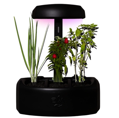 Kit Composta + EVA: Adubo Orgânico + 3 mudas